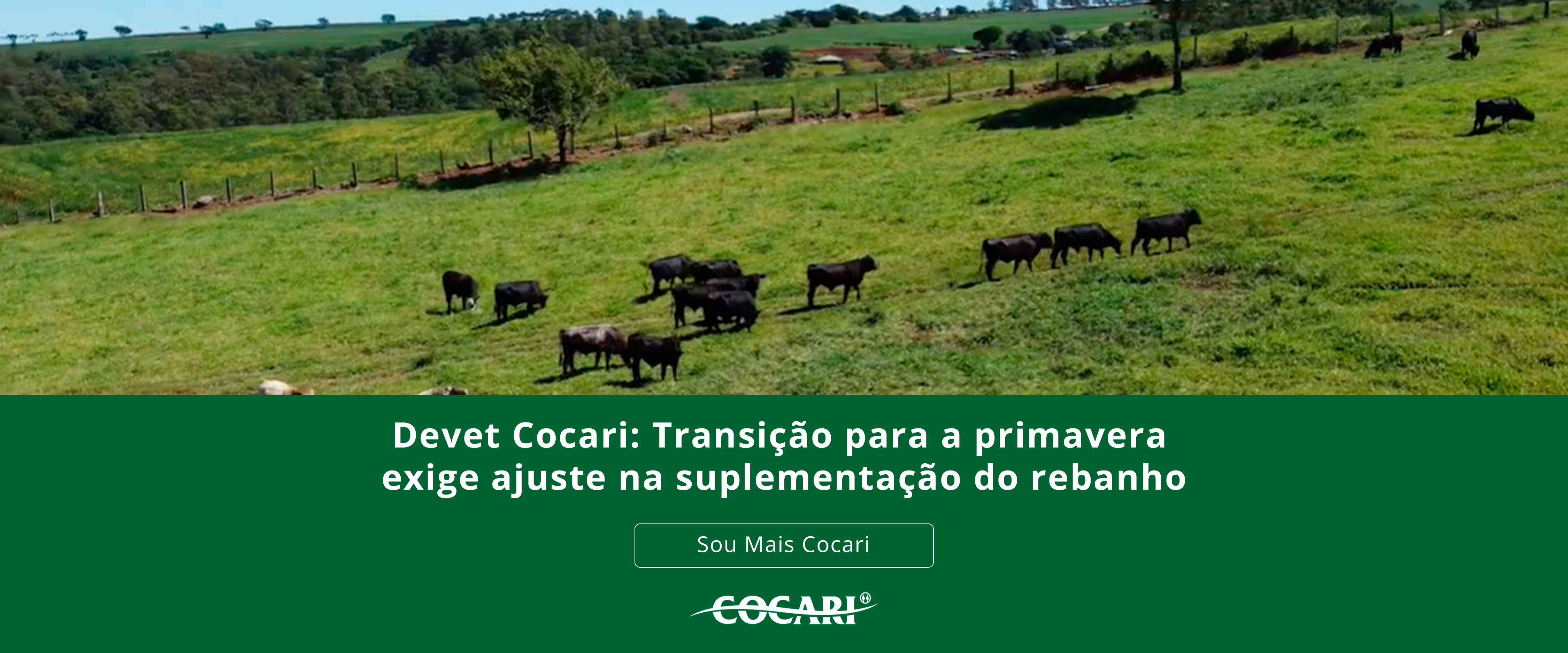 Devet Cocari: Transição para a primavera exige ajuste na suplementação do rebanho