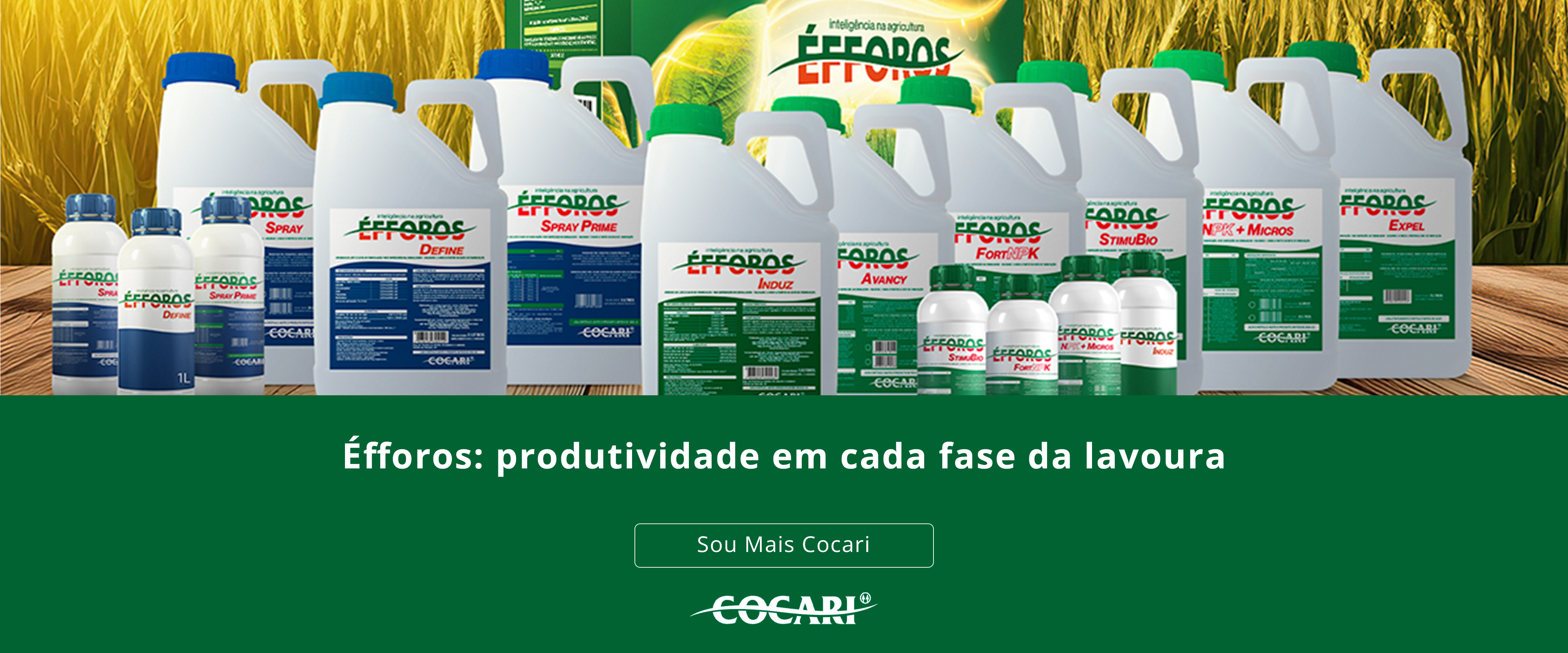 Éfforos: produtividade em cada fase da lavoura