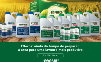 Éfforos: ainda dá tempo de preparar a área para uma lavoura mais produtiva