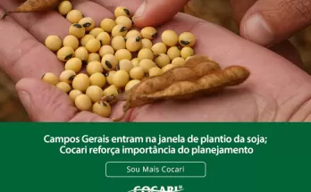 Campos Gerais entram na janela de plantio da soja; Cocari reforça importância do planejamento
