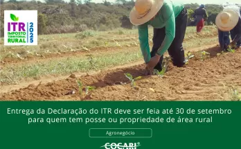 Entrega da Declaração do ITR deve ser feia até 30 de setembro para quem tem posse ou propriedade de área rural
