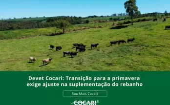 Devet Cocari: Transição para a primavera exige ajuste na suplementação do rebanho