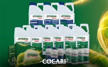 Linha Éfforos: manejo estratégico começa na implantação das lavouras de verão