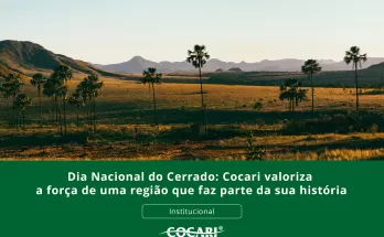 Dia Nacional do Cerrado: Cocari valoriza a força de uma região que faz parte da sua história