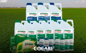 Produtor, colha mais produtividade com a Linha Éfforos – Nutrição vegetal e tecnologia de aplicação para todas as fases das culturas