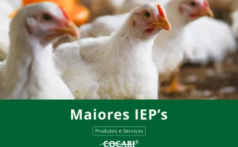 Cooperados avicultores com os maiores Índices de Eficiência Produtiva (IEPs) Maio de 2026