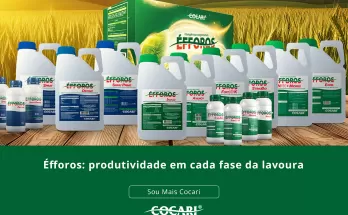 Éfforos: produtividade em cada fase da lavoura