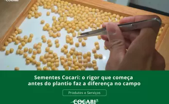 Sementes Cocari: o rigor que começa antes do plantio faz a diferença no campo