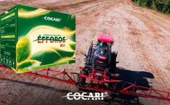 Éfforos: uma linha, diferentes soluções para cada fase da lavoura