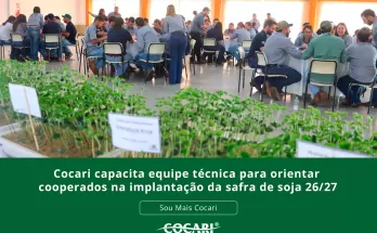 Cocari capacita equipe técnica para orientar cooperados na implantação da safra de soja 26/27
