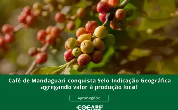 Café de Mandaguari conquista Selo Indicação Geográfica agregando valor à produção local