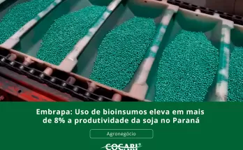 Embrapa: Uso de bioinsumos eleva em mais de 8% a produtividade da soja no Paraná